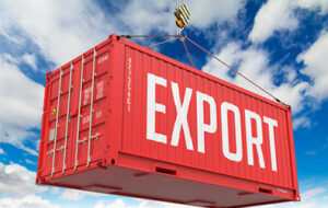 تصدير حاوية من مصر